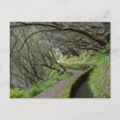 Levada das 25 Fontes Madeira Postcard Briefkaart (Voorkant)
