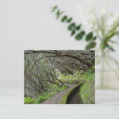 Levada das 25 Fontes Madeira Postcard Briefkaart (Staand voorkant)