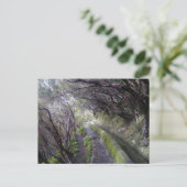 Levadas op Madeira, Portugal Briefkaart (Staand voorkant)