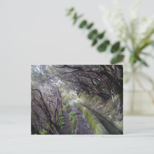 Levadas op Madeira, Portugal Briefkaart (Staand voorkant)