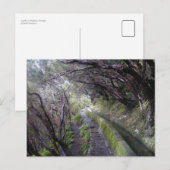 Levadas op Madeira, Portugal Briefkaart (Voorkant / Achterkant)