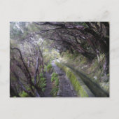 Levadas op Madeira, Portugal Briefkaart (Voorkant)