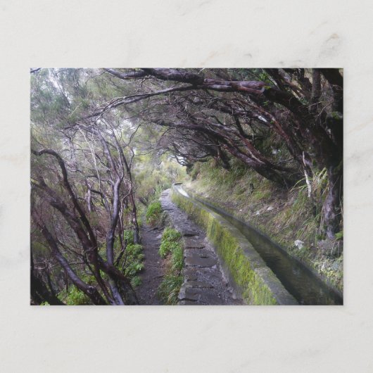Levadas op Madeira, Portugal Briefkaart (Voorkant)