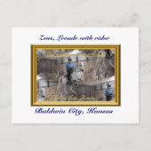 Levade briefkaart (Voorkant)