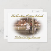 Levade met rider, Briefkaart (Voorkant / Achterkant)