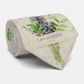 Levandula spica stropdas (Opgerold)