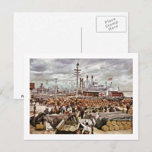 Levee in Canal Street New Orleans 1900 Briefkaart (Voorkant / Achterkant)