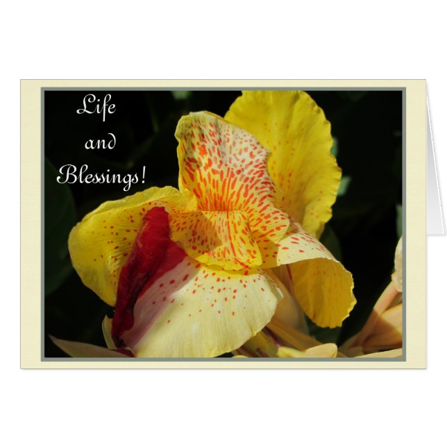 Leven. (Voorkant Horizontaal)