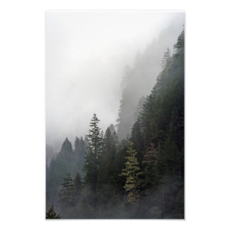 Leven aan de rand. foto afdruk