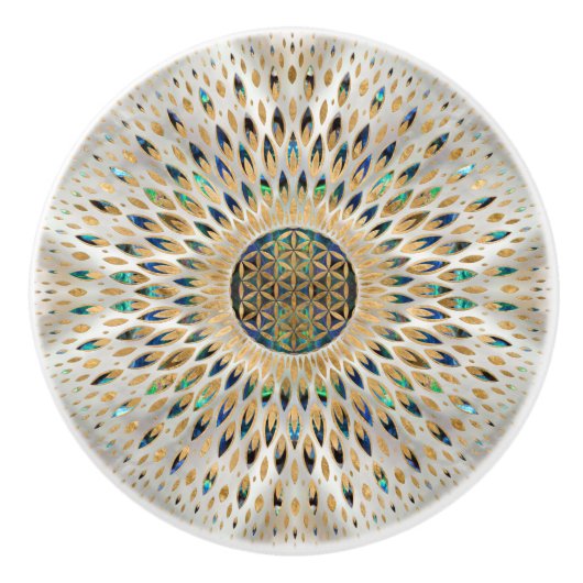 Leven - Abalone Shell en Pearl Keramische Knop (Voorkant)