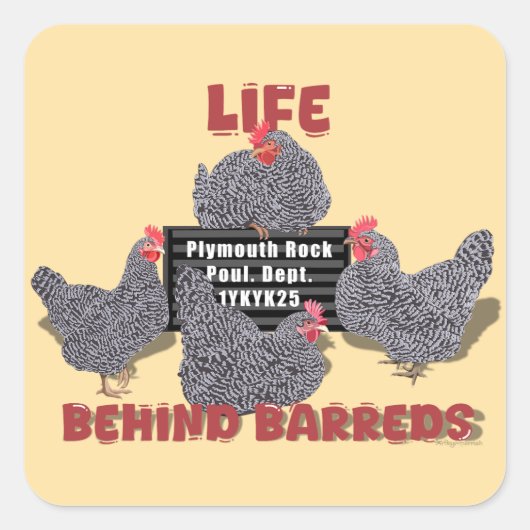 Leven achter de tralies (Barred Plymouth Rock Hens Vierkante Sticker (Voorkant)