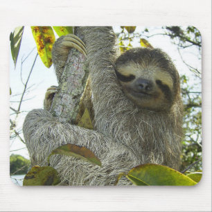 Leven als een sleuf muismat