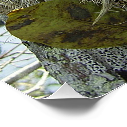 Leven als een sleuf poster (Hoek)