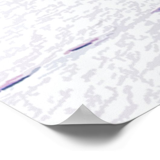 Leven. - Downhill Skier Poster (Hoek)