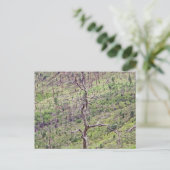 Leven en dood bomen in het Valley briefkaart (Staand voorkant)