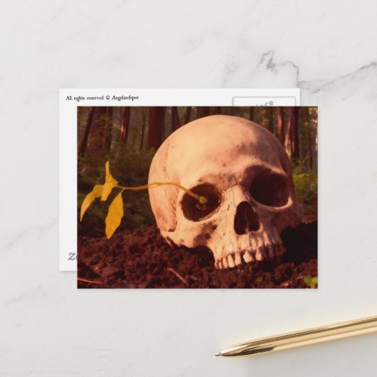 Leven en Dood Briefkaart (Voorkant / Achterkant in situ)