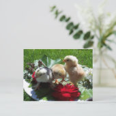 leven grappige kleine vogels briefkaart (Staand voorkant)