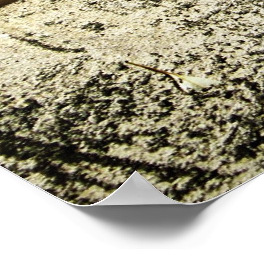 Leven : het zaad van het Poster voor het koelen (Hoek)