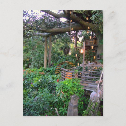 Leven in de Bomen Briefkaart (Voorkant)