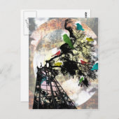 Leven in een kooi briefkaart (Voorkant / Achterkant)