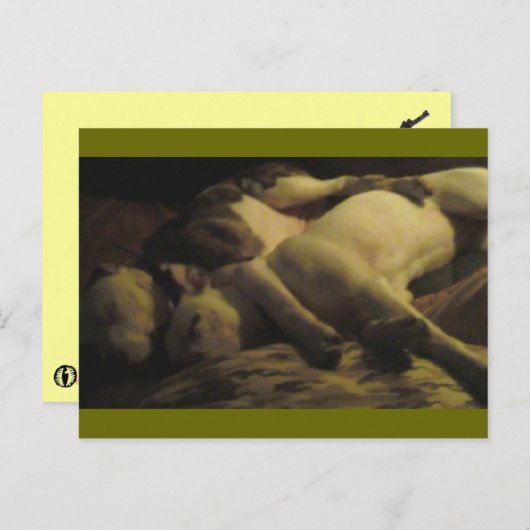 leven in een paradijs briefkaart (Voorkant / Achterkant)