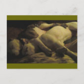 leven in een paradijs briefkaart (Voorkant)