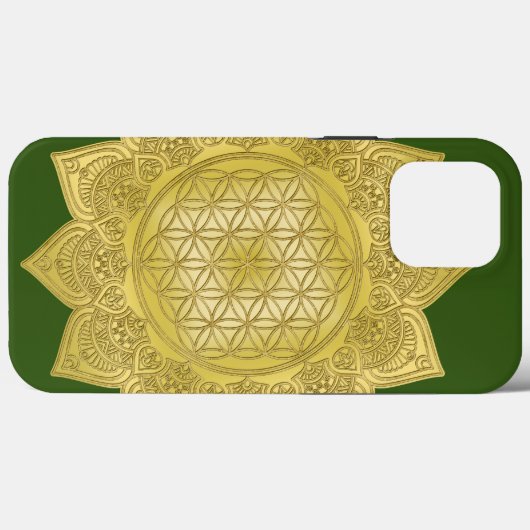 Leven - Indiaas Mandala 4 Case-Mate iPhone Case (Achterkant (horizontaal))