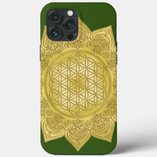 Leven - Indiaas Mandala 4 Case-Mate iPhone Case (Achterkant)