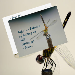 Leven is een evenwicht Quote Libel Fotografisch Briefkaart
