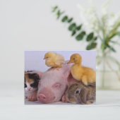 LEVEN IS GOED BRIEFKAART (Staand voorkant)