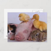 LEVEN IS GOED BRIEFKAART (Voorkant / Achterkant)