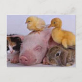 LEVEN IS GOED BRIEFKAART (Voorkant)