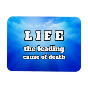 Leven is grappig magneet