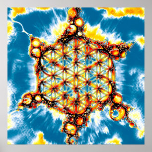 Leven - kleurloze manieren 5 poster