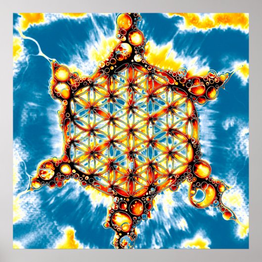 Leven - kleurloze manieren 5 poster (Voorkant)