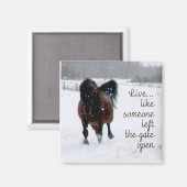 Leven! Magneet (Voorkant / Achterkant)