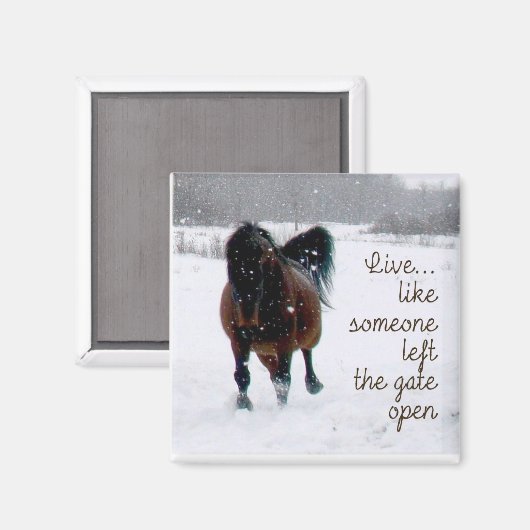 Leven! Magneet (Voorkant / Achterkant)