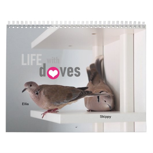 Leven met duiven : Agenda 2020 Kalender (Hoes)