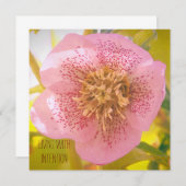 Leven met intentie. Helleborus (Lenteroos)  (Voorkant / Achterkant)