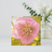 Leven met intentie. Helleborus (Lenteroos)  (Staand voorkant)