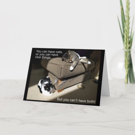 Leven met Katten Kaart (Voorkant)