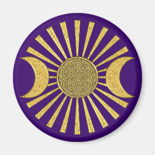 Leven met maan magneet