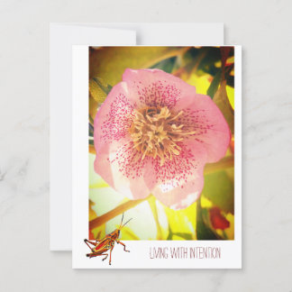 Leven met opzet. Helleborus (Roos Lenten) Briefkaart