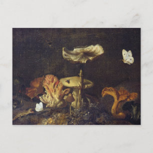 Leven met paddenstoelen en botervliegen briefkaart