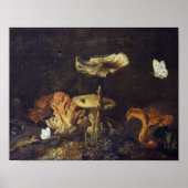 Leven met paddenstoelen en botervliegen poster (Voorkant)