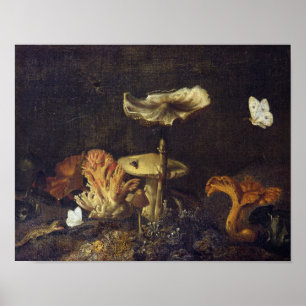 Leven met paddenstoelen en botervliegen poster