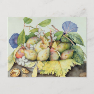 Leven met Plums, Walnuts and Jasmine (m/v Briefkaart