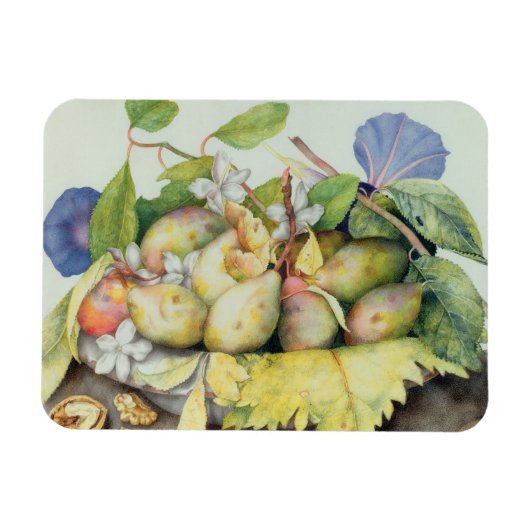 Leven met Plums, Walnuts and Jasmine (m/v Magneet (Horizontaal)