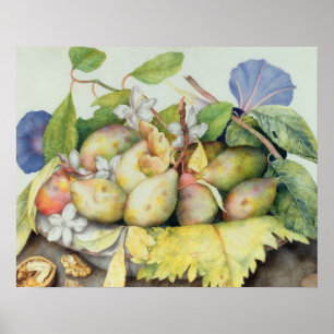 Leven met Plums, Walnuts and Jasmine (m/v Poster