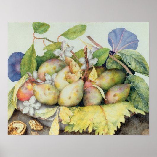 Leven met Plums, Walnuts and Jasmine (m/v Poster (Voorkant)